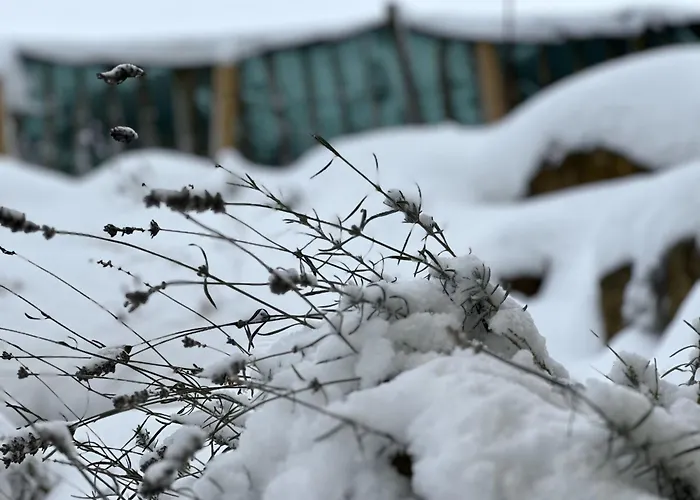 Vennoase Διαμέρισμα *